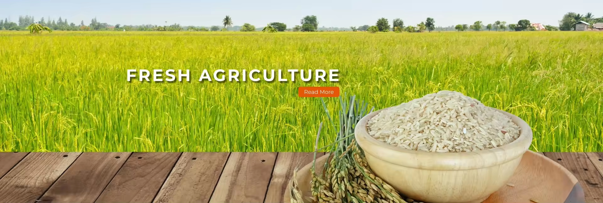 <span hidden>title</span>